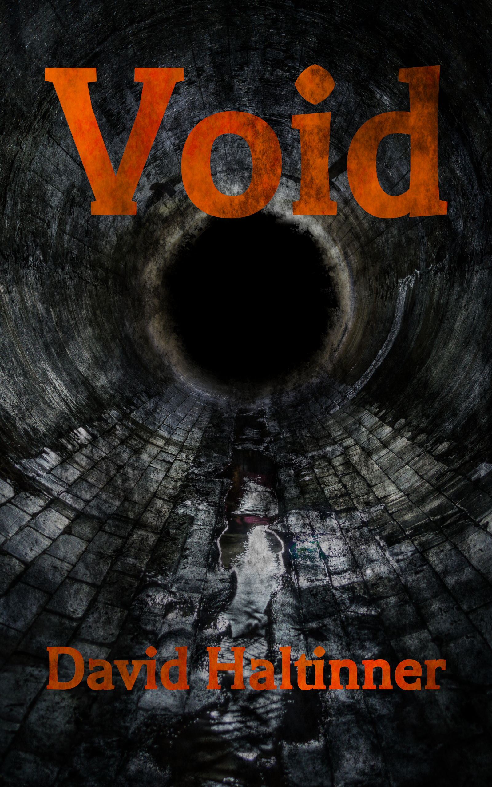 Cover of Void